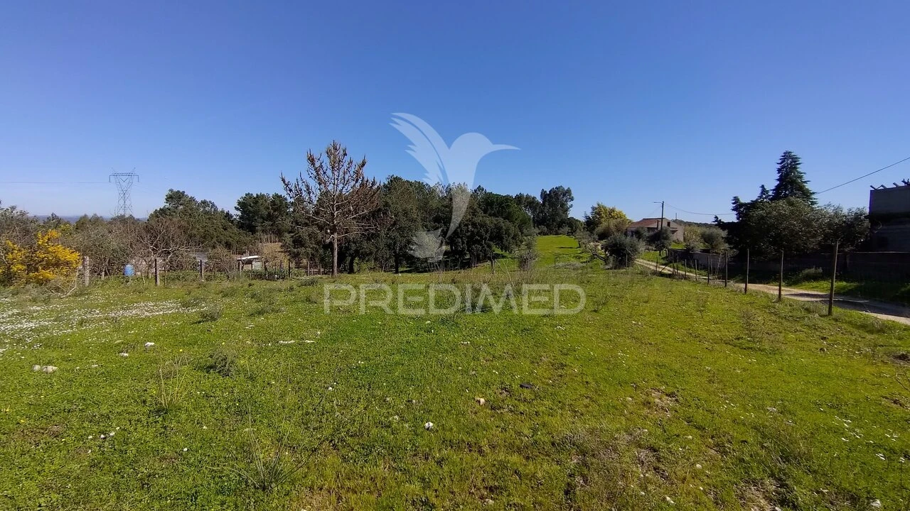 Terreno para Venda em Santa Margarida da Coutada Foto 9