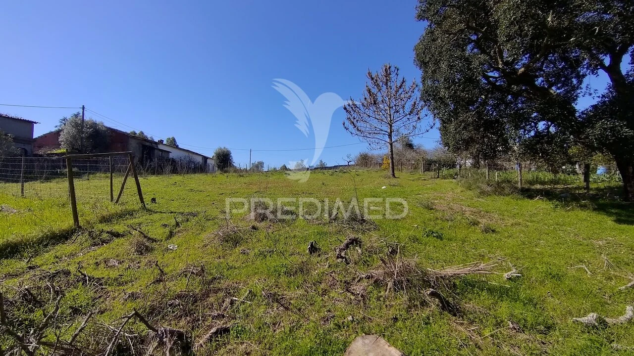 Terreno para Venda em Santa Margarida da Coutada Foto 13