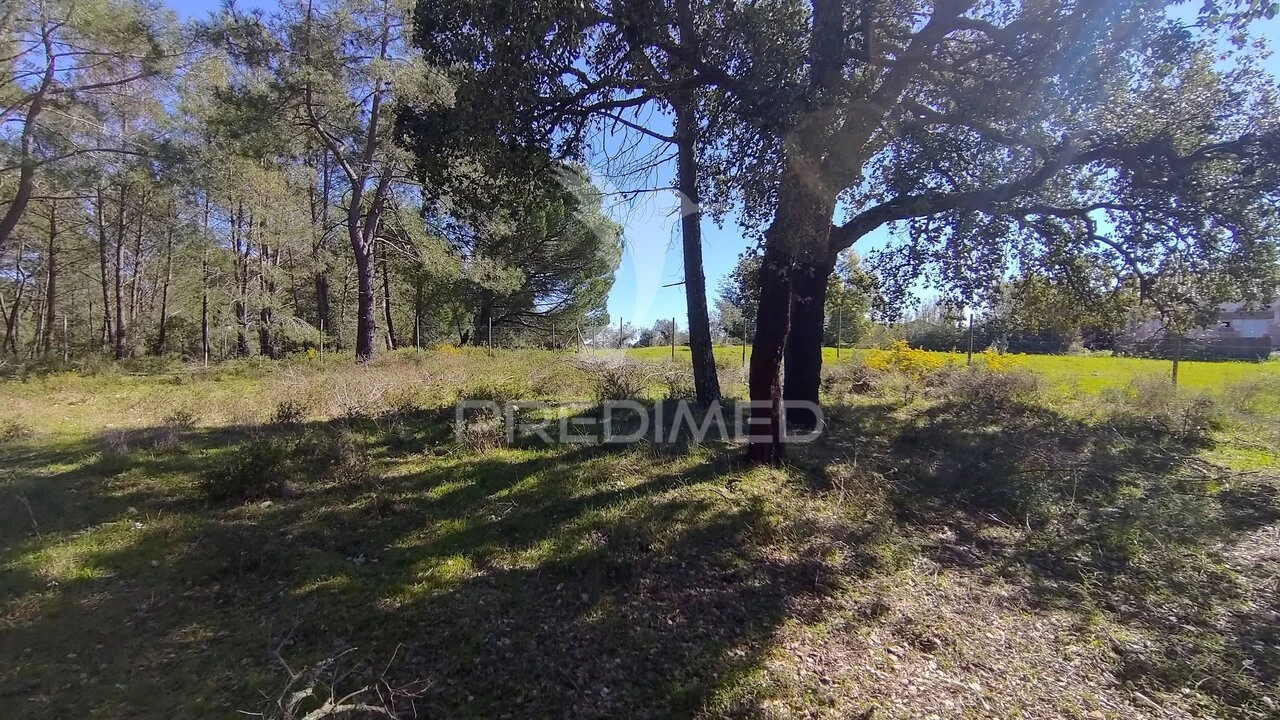 Terreno para Venda em Santa Margarida da Coutada Foto 17