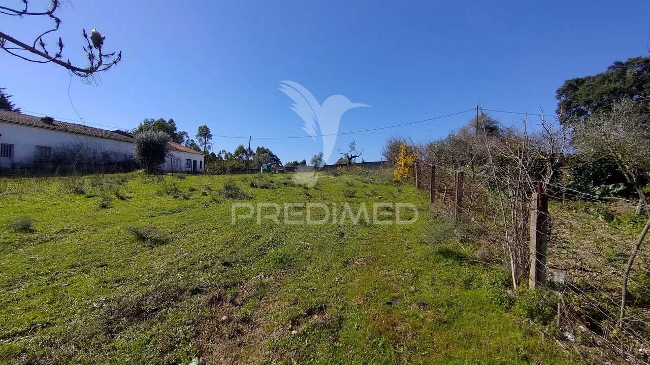 Terreno para Venda em Santa Margarida da Coutada Foto 36