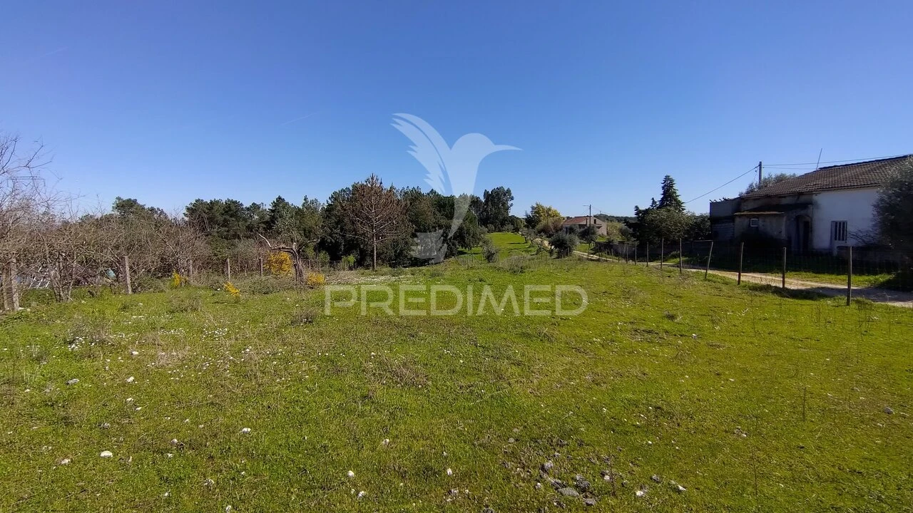 Terreno para Venda em Santa Margarida da Coutada Foto 39