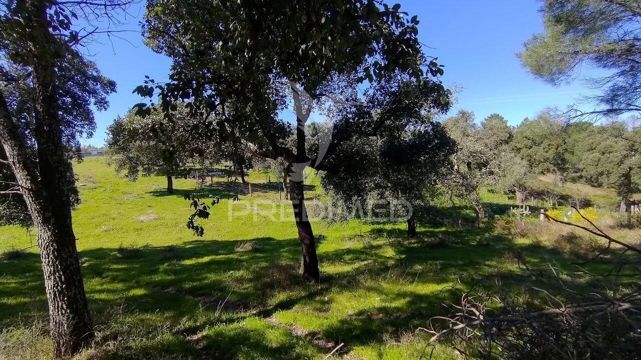 Terreno para Venda em Santa Margarida da Coutada Foto 22