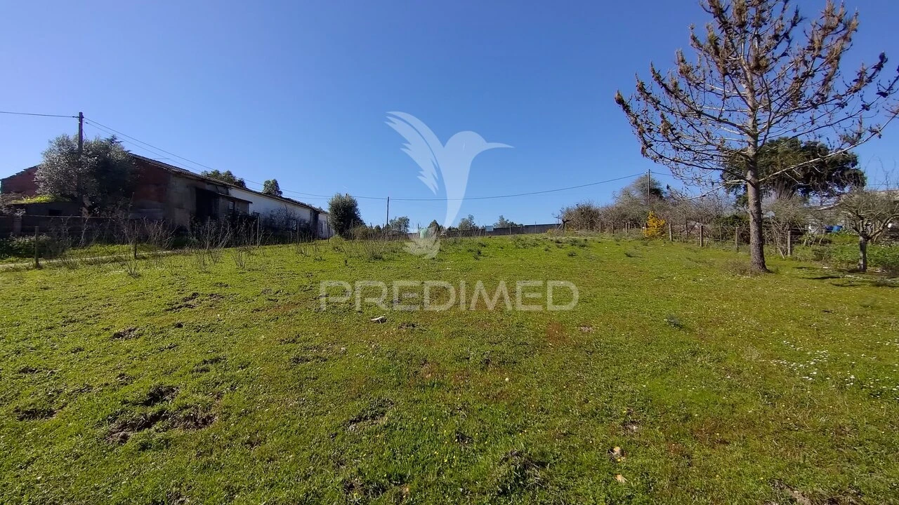 Terreno para Venda em Santa Margarida da Coutada Foto 12