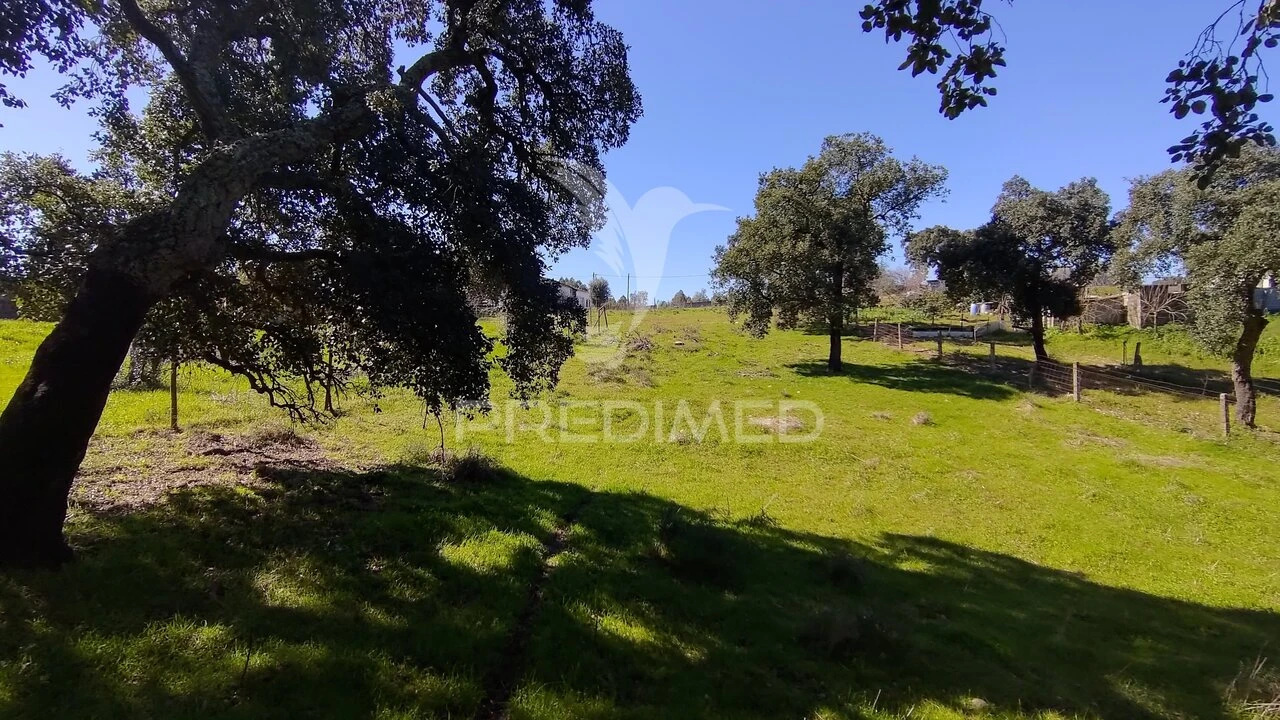 Terreno para Venda em Santa Margarida da Coutada Foto 24