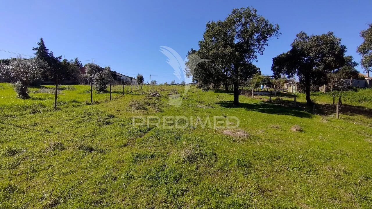 Terreno para Venda em Santa Margarida da Coutada Foto 26