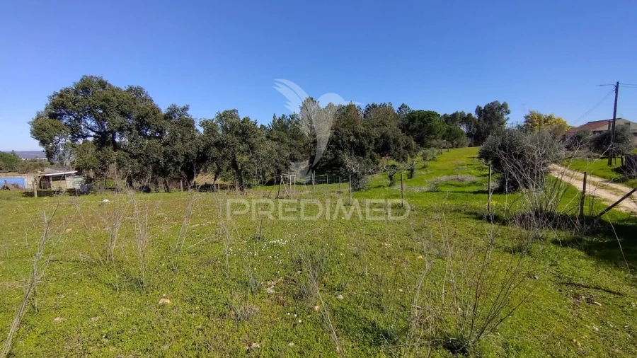 Terreno para Venda em Santa Margarida da Coutada Foto 33