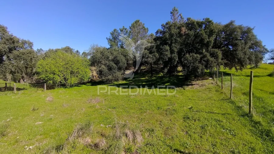 Terreno para Venda em Santa Margarida da Coutada Foto 28