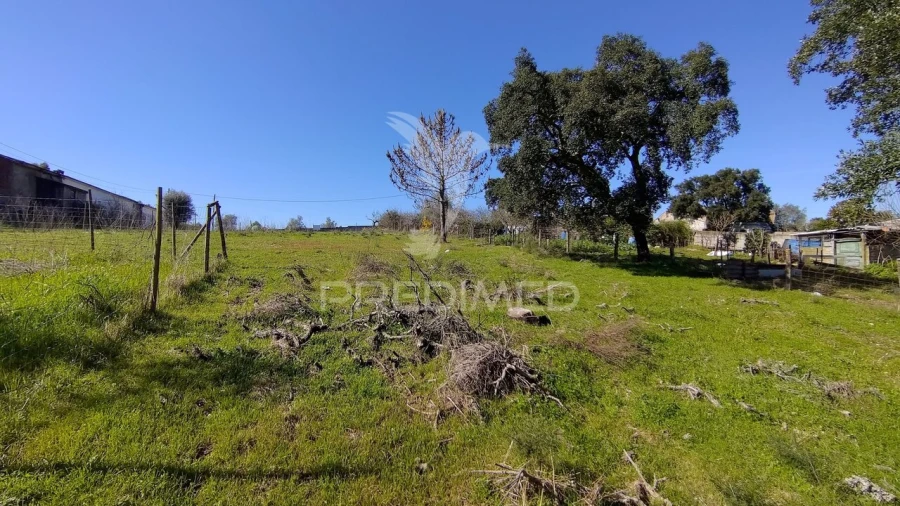Terreno para Venda em Santa Margarida da Coutada Foto 27