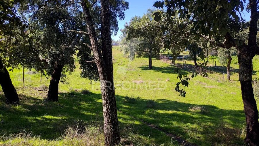 Terreno para Venda em Santa Margarida da Coutada Foto 21