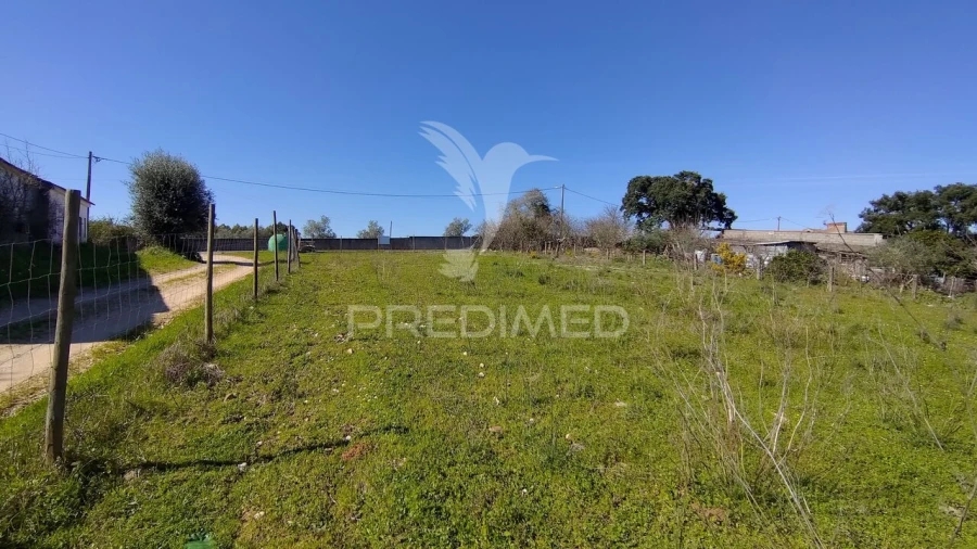 Terreno para Venda em Santa Margarida da Coutada Foto 31