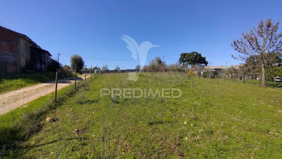 Terreno para Venda em Santa Margarida da Coutada Foto 30