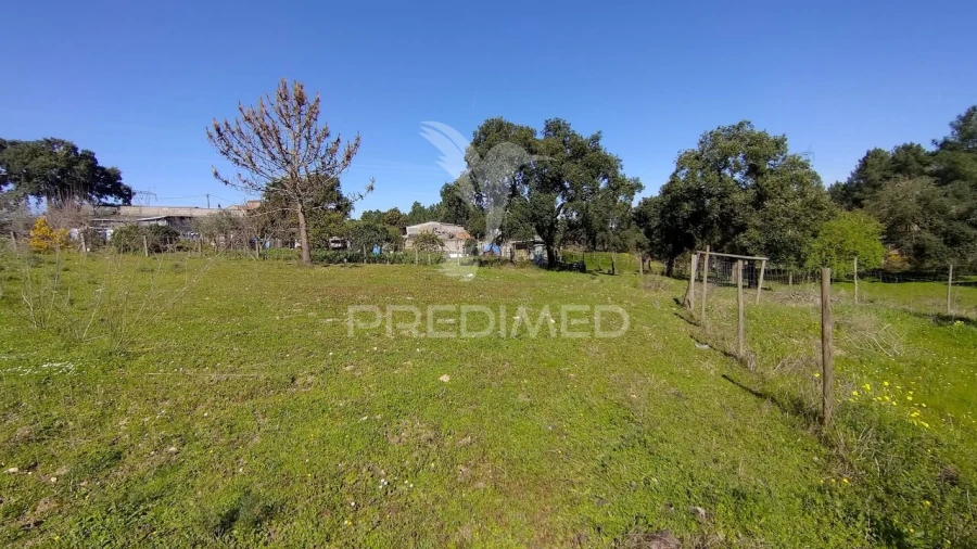 Terreno para Venda em Santa Margarida da Coutada Foto 29