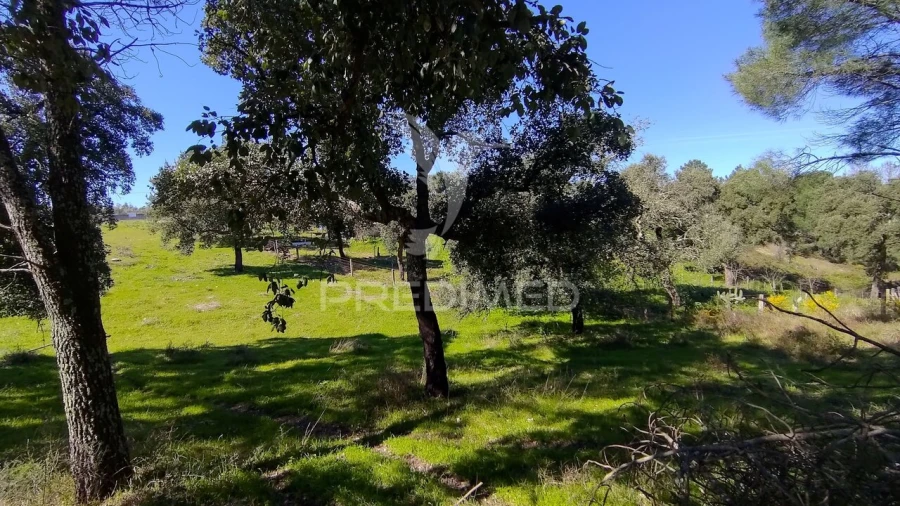 Terreno para Venda em Santa Margarida da Coutada Foto 22