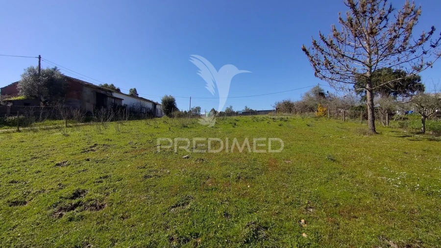 Terreno para Venda em Santa Margarida da Coutada Foto 12