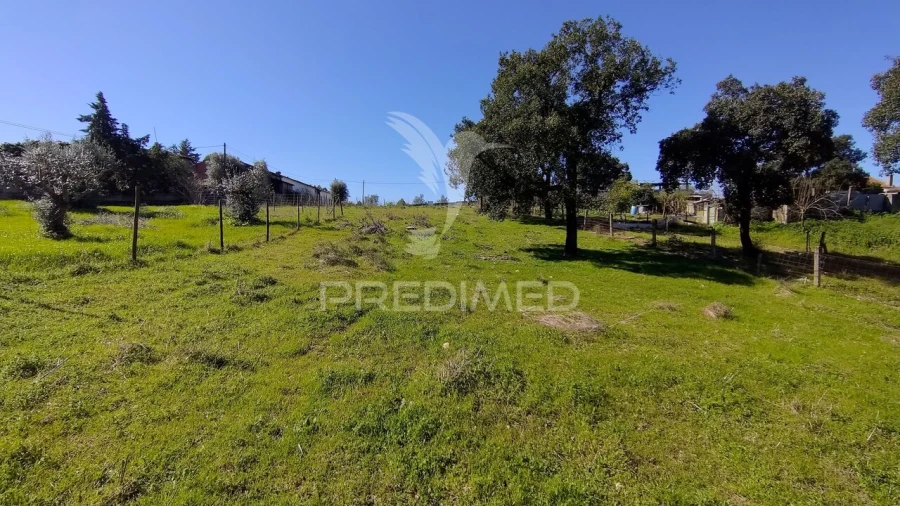 Terreno para Venda em Santa Margarida da Coutada Foto 26