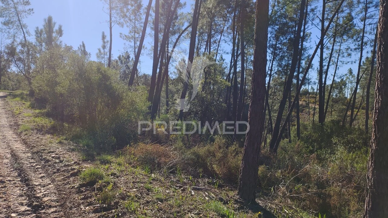 Terreno para Venda em Santa Margarida da Coutada Foto 19