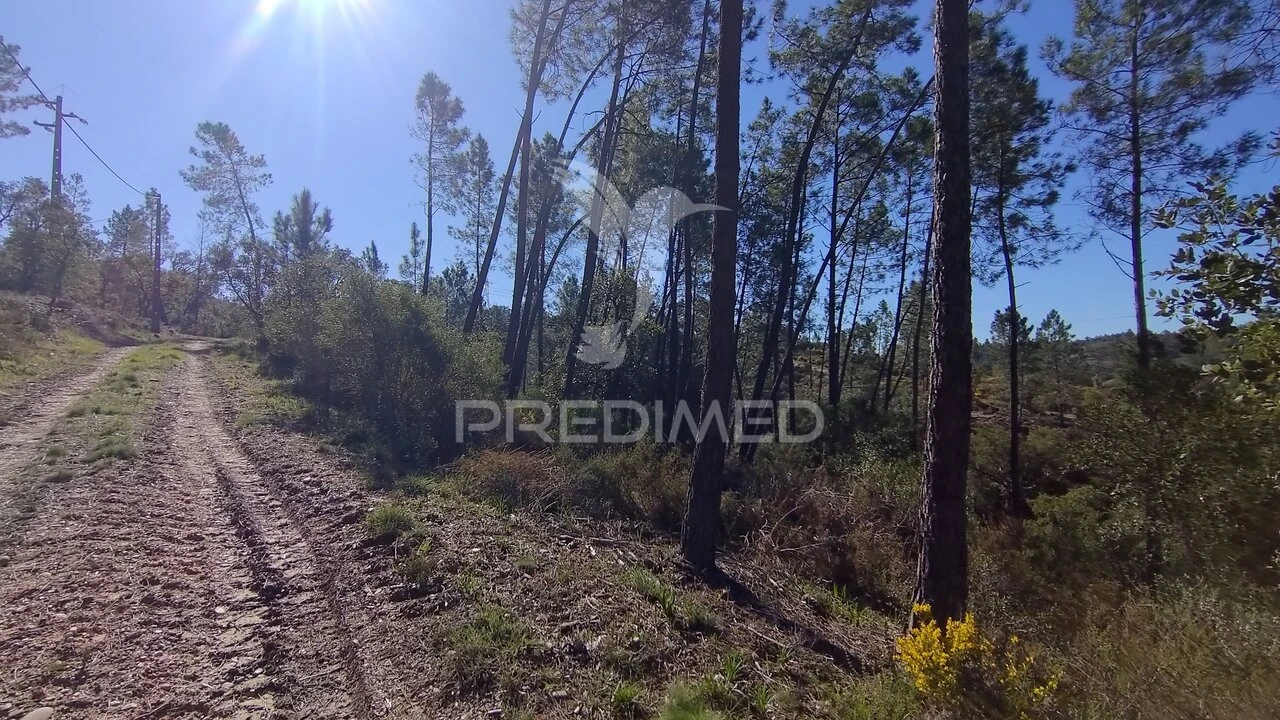 Terreno para Venda em Santa Margarida da Coutada Foto 20