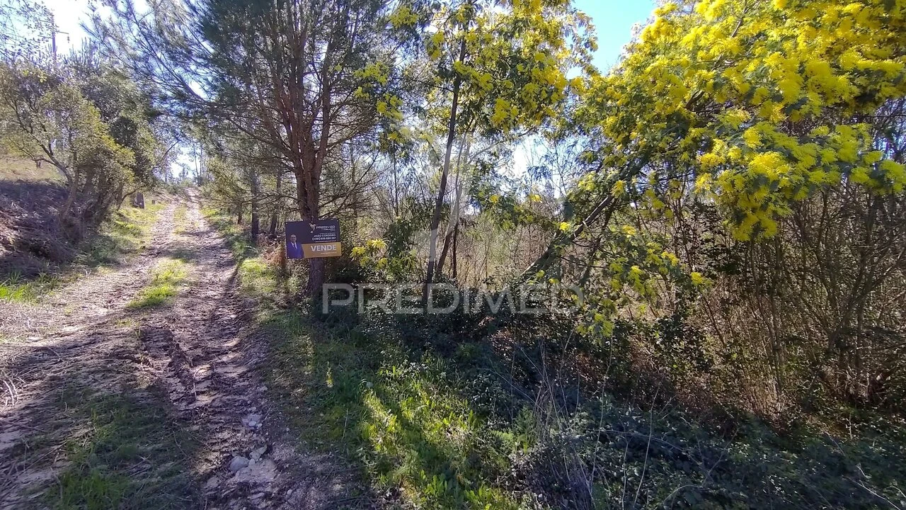 Terreno para Venda em Santa Margarida da Coutada Foto 33