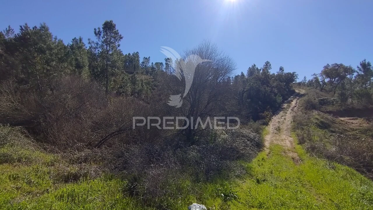 Terreno para Venda em Santa Margarida da Coutada Foto 31