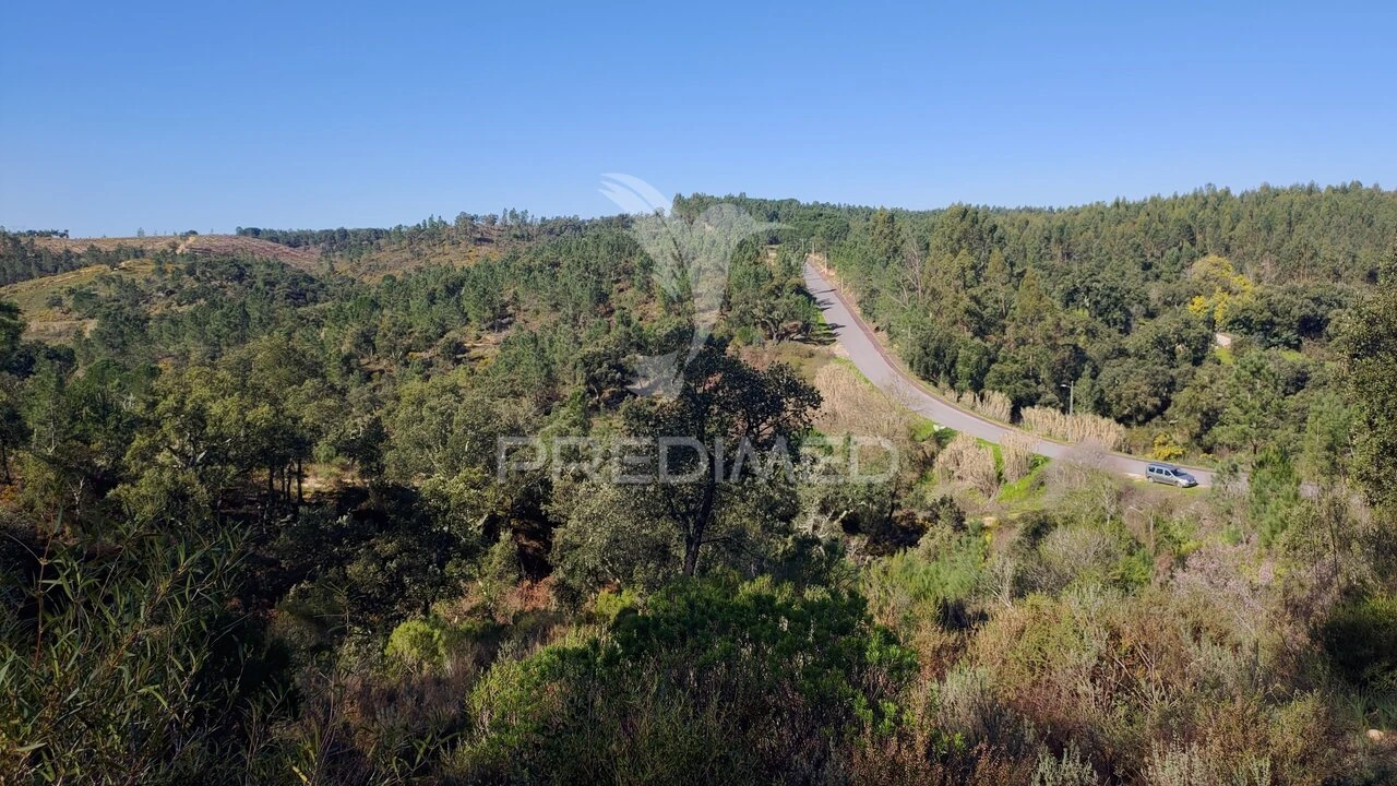 Terreno para Venda em Santa Margarida da Coutada Foto 21