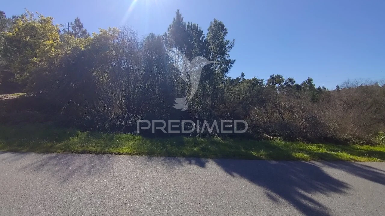 Terreno para Venda em Santa Margarida da Coutada Foto 28