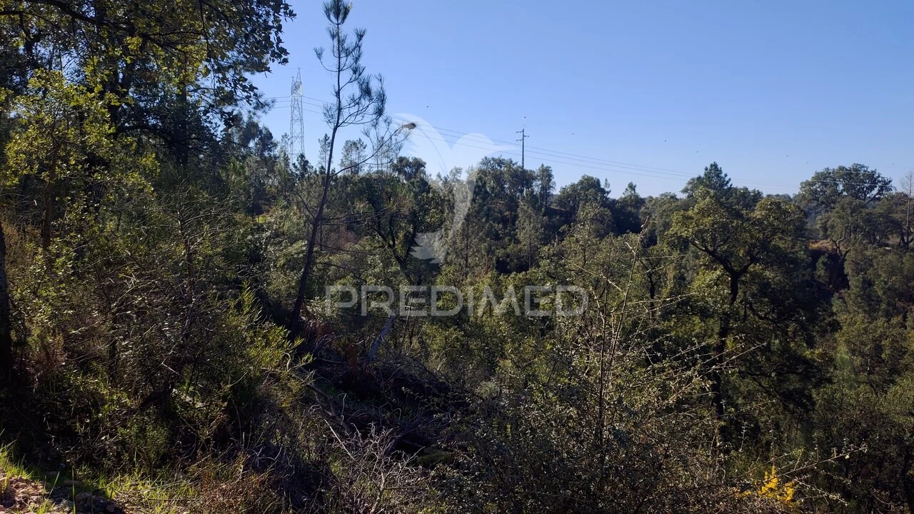 Terreno para Venda em Santa Margarida da Coutada Foto 7