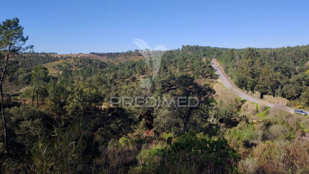 Terreno para Venda em Santa Margarida da Coutada Foto 24