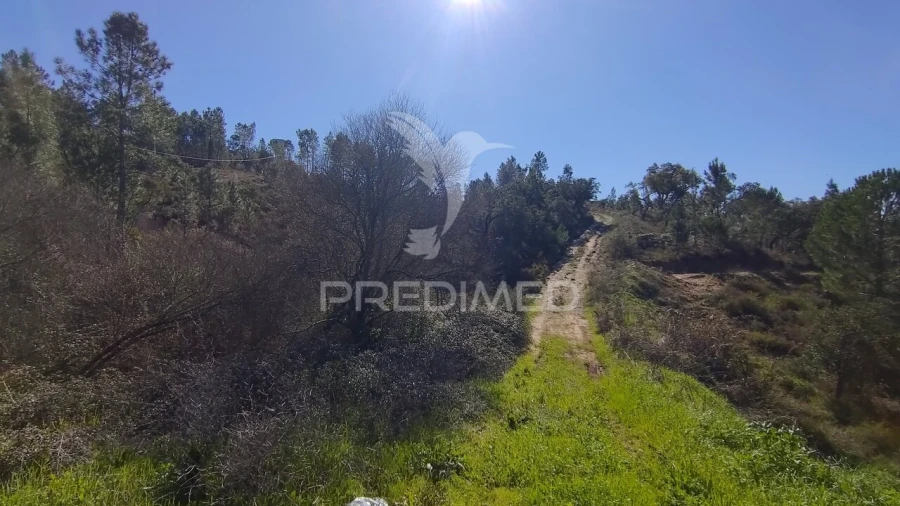 Terreno para Venda em Santa Margarida da Coutada Foto 32