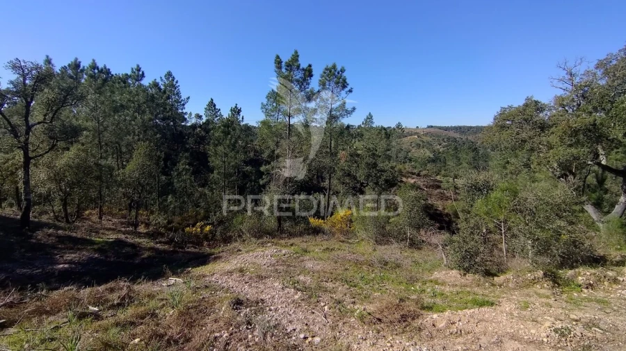 Terreno para Venda em Santa Margarida da Coutada Foto 15