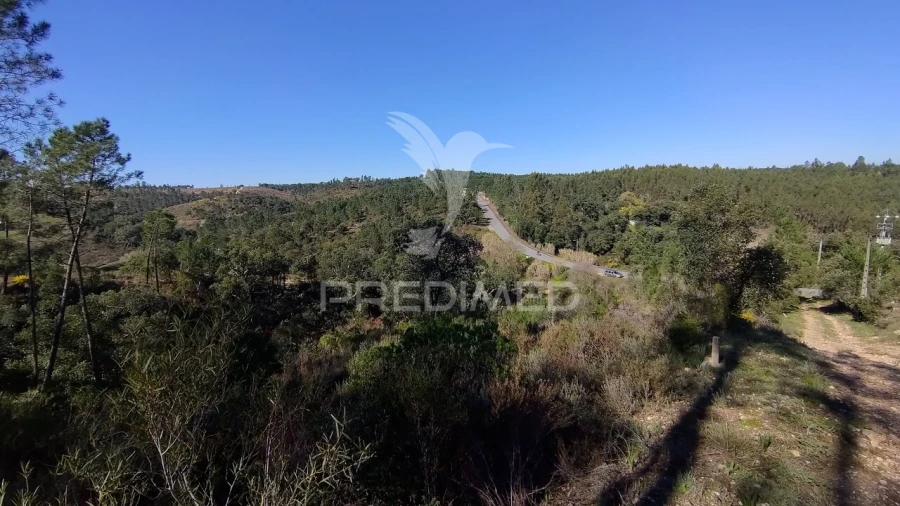 Terreno para Venda em Santa Margarida da Coutada Foto 22