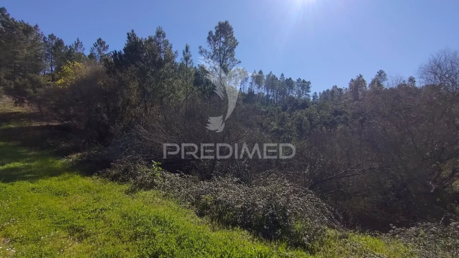 Terreno para Venda em Santa Margarida da Coutada Foto 29