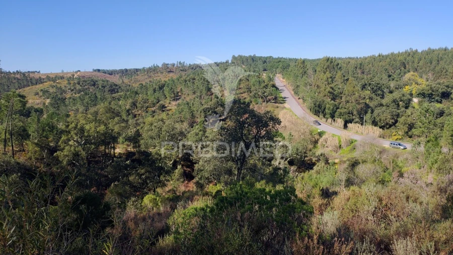 Terreno para Venda em Santa Margarida da Coutada Foto 25