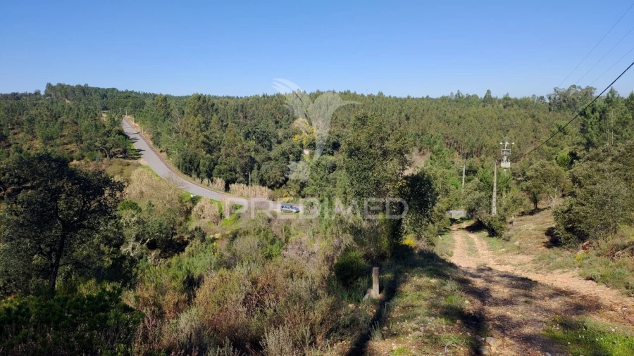 Terreno para Venda em Santa Margarida da Coutada Foto 23