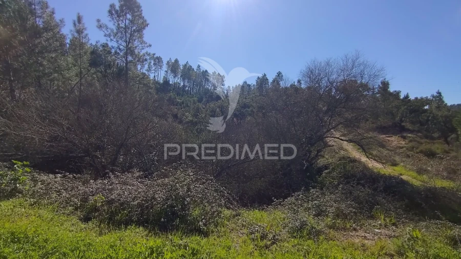 Terreno para Venda em Santa Margarida da Coutada Foto 30