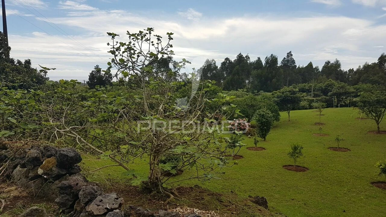 Terreno para Venda em Terra Chã Foto 16