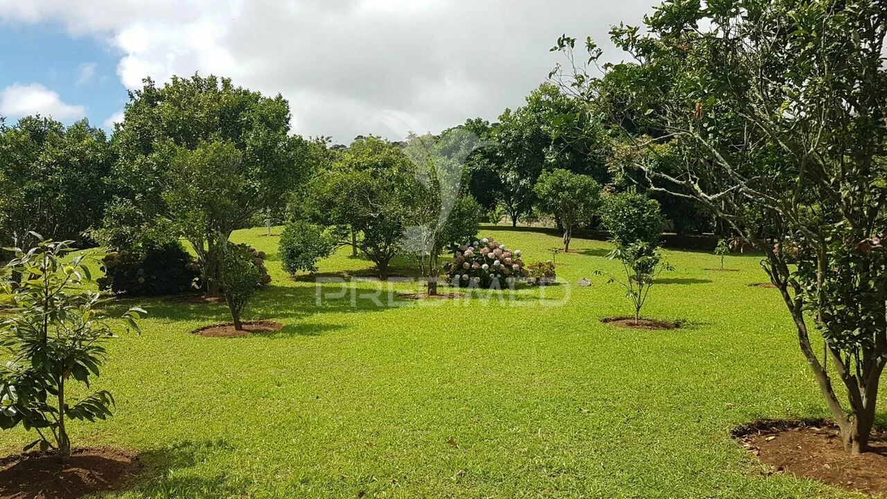 Terreno para Venda em Terra Chã Foto 7