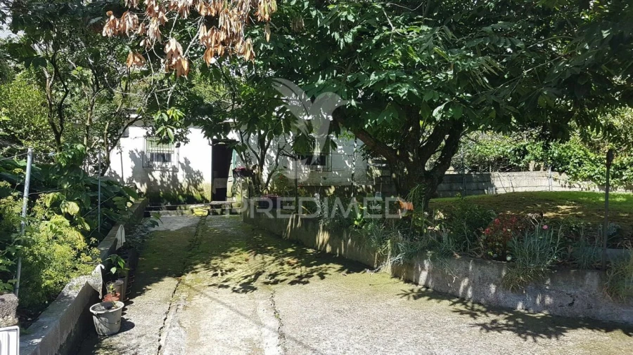 Terreno para Venda em Terra Chã Foto 3