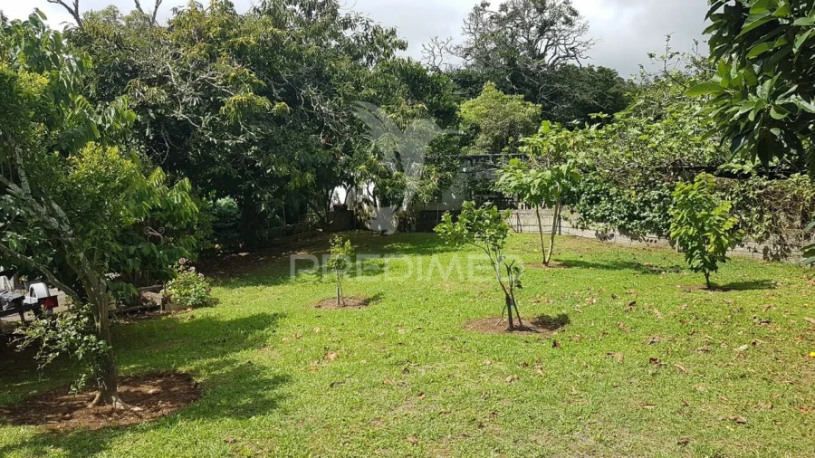 Terreno para Venda em Terra Chã Foto 8