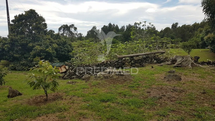 Terreno para Venda em Terra Chã Foto 15