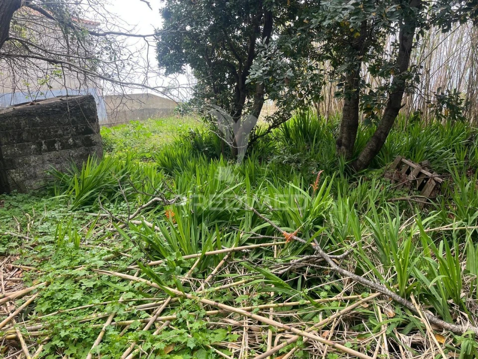 Moradia T3 para Venda em Ponta do Pargo Foto 6