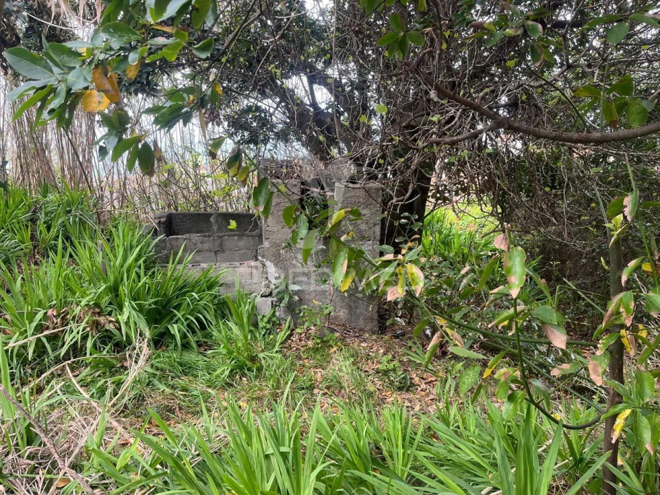 Moradia T3 para Venda em Ponta do Pargo Foto 15