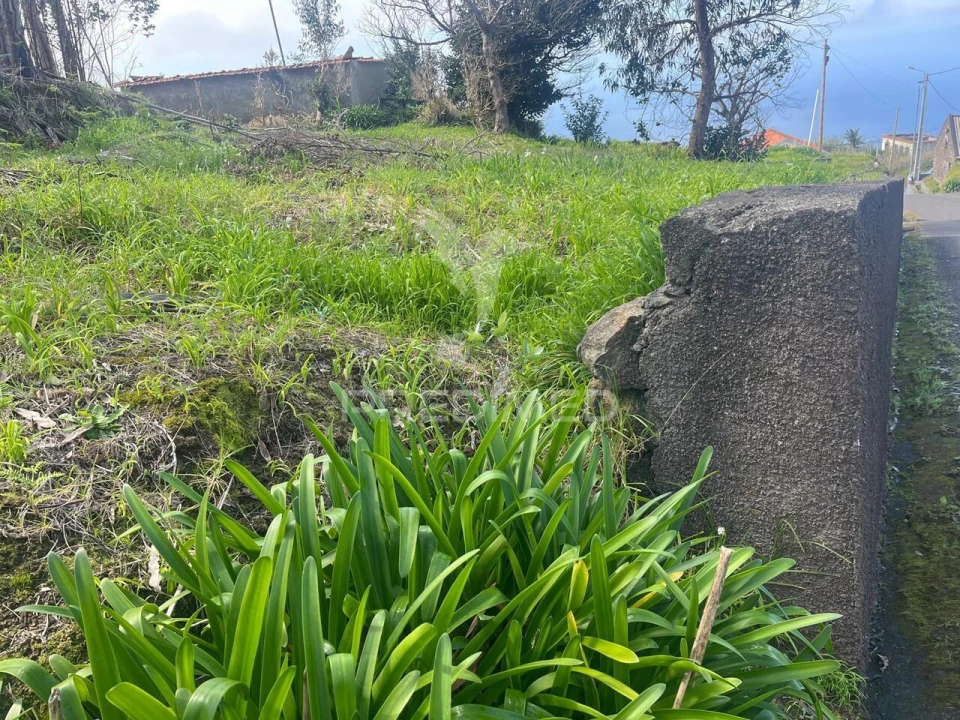 Moradia T3 para Venda em Ponta do Pargo Foto 16