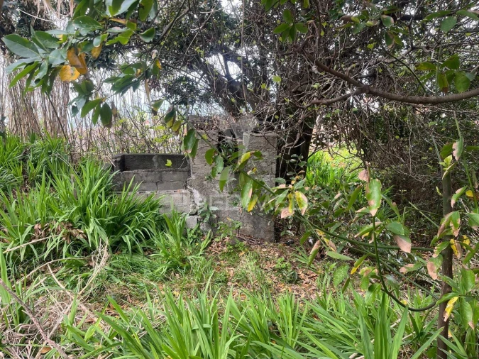 Moradia T3 para Venda em Ponta do Pargo Foto 15