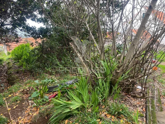 Moradia T3 para Venda em Ponta do Pargo Foto 11