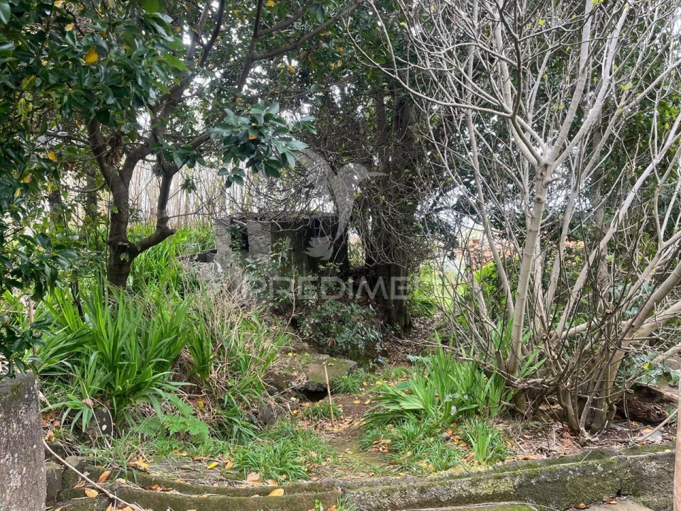 Moradia T3 para Venda em Ponta do Pargo Foto 8