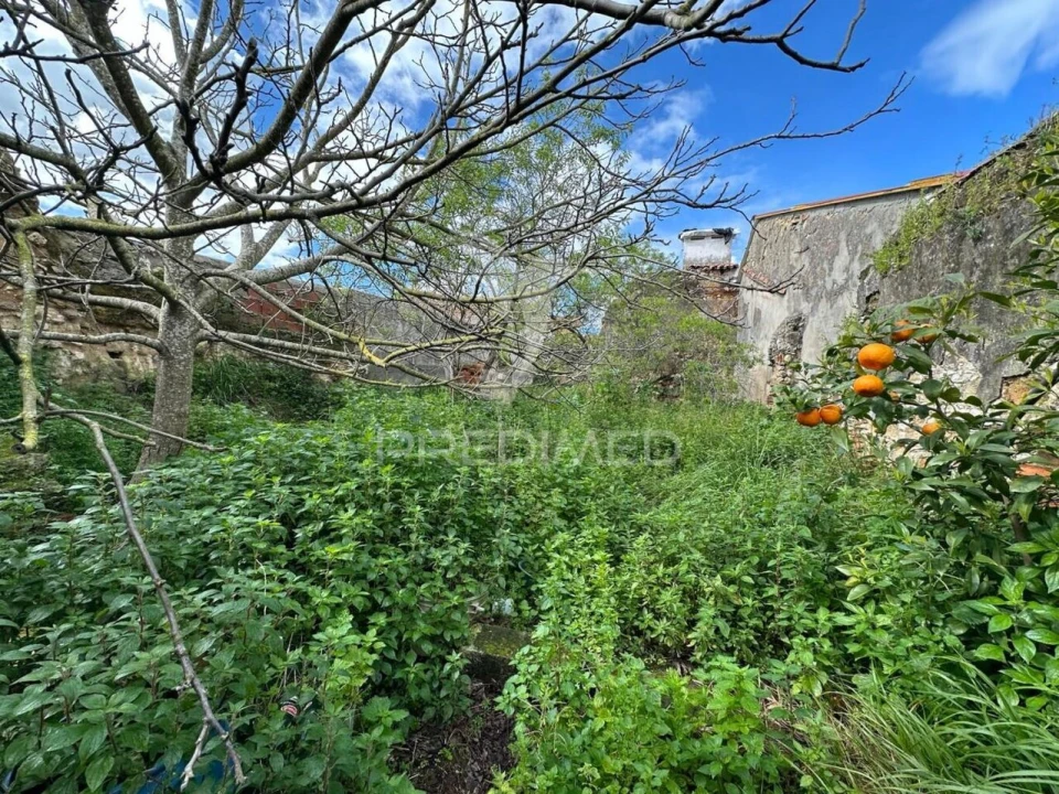 Prédio para Venda em Alcanhões Foto 9