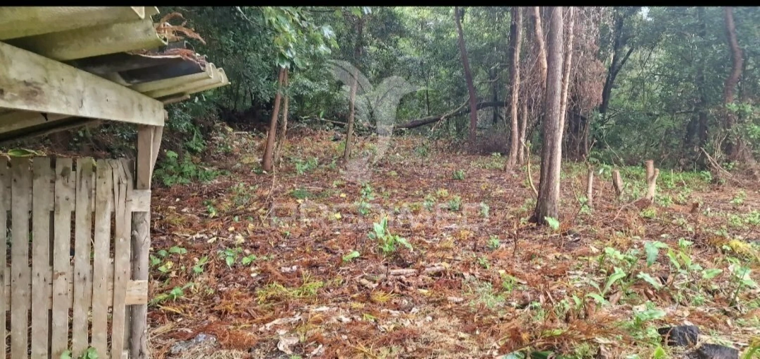 Terreno para Venda em Biscoitos Foto 14