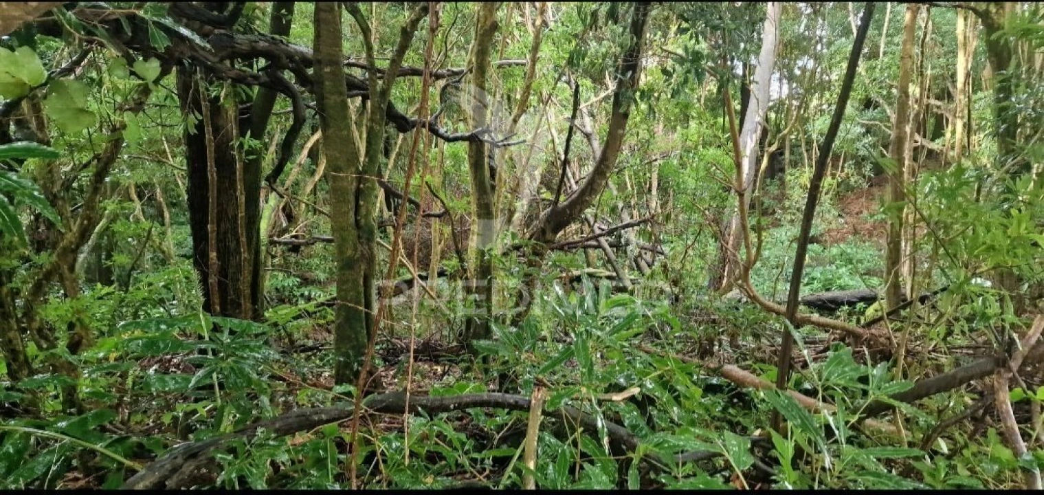 Terreno para Venda em Biscoitos Foto 11