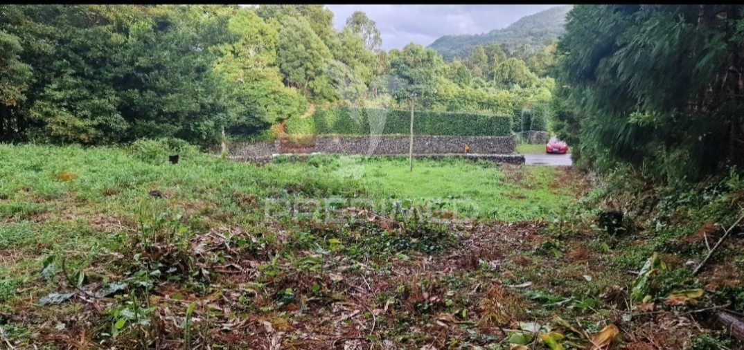 Terreno para Venda em Biscoitos Foto 15