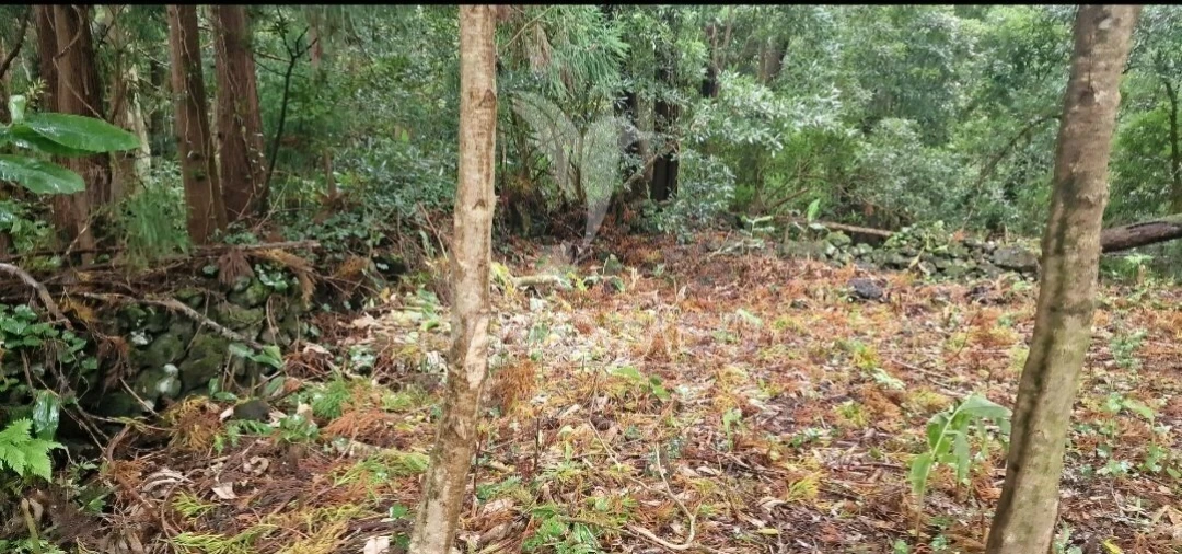 Terreno para Venda em Biscoitos Foto 12